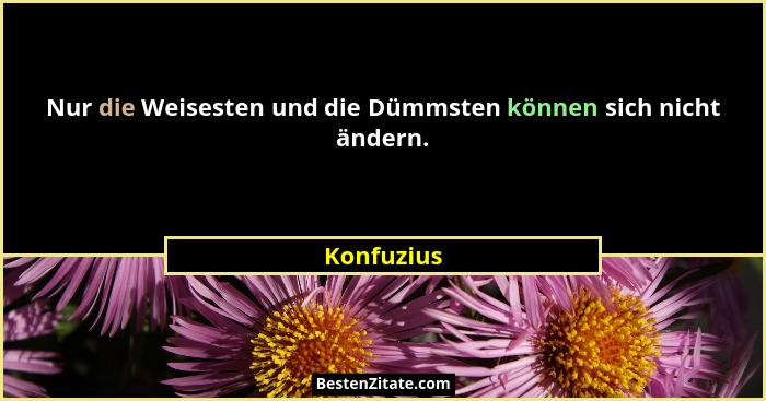 Nur die Weisesten und die Dümmsten können sich nicht ändern.... - Konfuzius