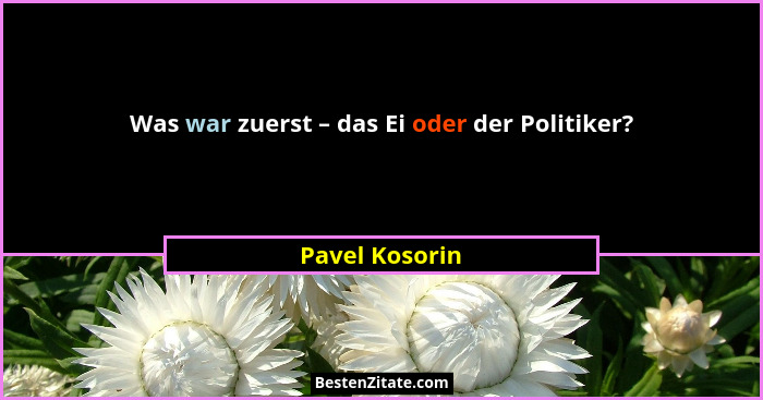 Was war zuerst – das Ei oder der Politiker?... - Pavel Kosorin