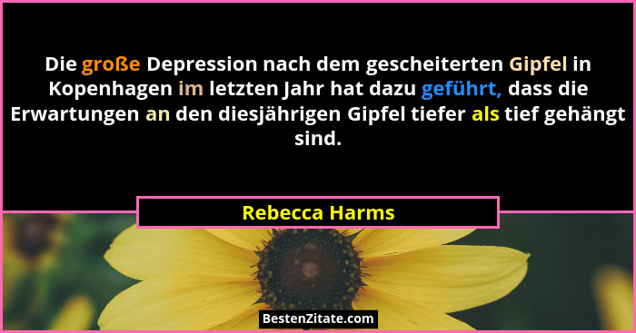 Die große Depression nach dem gescheiterten Gipfel in Kopenhagen im letzten Jahr hat dazu geführt, dass die Erwartungen an den diesjäh... - Rebecca Harms