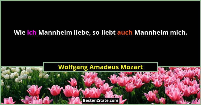 Wie ich Mannheim liebe, so liebt auch Mannheim mich.... - Wolfgang Amadeus Mozart