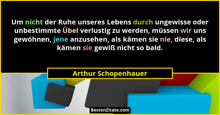 Um nicht der Ruhe unseres Lebens durch ungewisse oder unbestimmte Übel verlustig zu werden, müssen wir uns gewöhnen, jene anzuse... - Arthur Schopenhauer