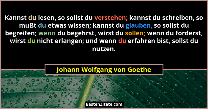 Kannst du lesen, so sollst du verstehen; kannst du schreiben, so mußt du etwas wissen; kannst du glauben, so sollst du be... - Johann Wolfgang von Goethe