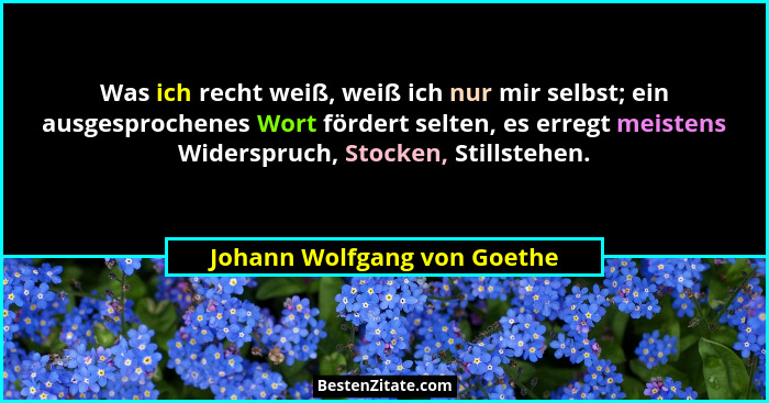 Was ich recht weiß, weiß ich nur mir selbst; ein ausgesprochenes Wort fördert selten, es erregt meistens Widerspruch, Sto... - Johann Wolfgang von Goethe