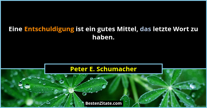 Eine Entschuldigung ist ein gutes Mittel, das letzte Wort zu haben.... - Peter E. Schumacher