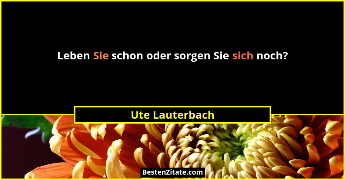 Leben Sie schon oder sorgen Sie sich noch?... - Ute Lauterbach