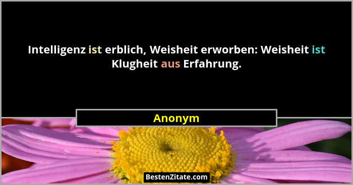 Intelligenz ist erblich, Weisheit erworben: Weisheit ist Klugheit aus Erfahrung.... - Anonym