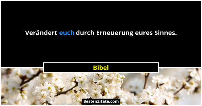 Verändert euch durch Erneuerung eures Sinnes.... - Bibel