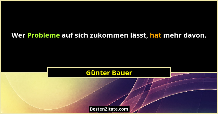 Wer Probleme auf sich zukommen lässt, hat mehr davon.... - Günter Bauer