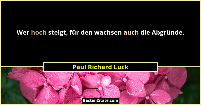 Wer hoch steigt, für den wachsen auch die Abgründe.... - Paul Richard Luck
