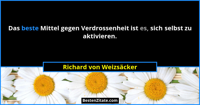 Das beste Mittel gegen Verdrossenheit ist es, sich selbst zu aktivieren.... - Richard von Weizsäcker