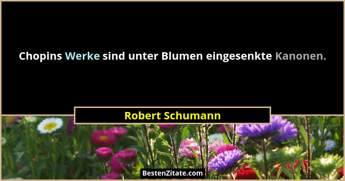 Chopins Werke sind unter Blumen eingesenkte Kanonen.... - Robert Schumann