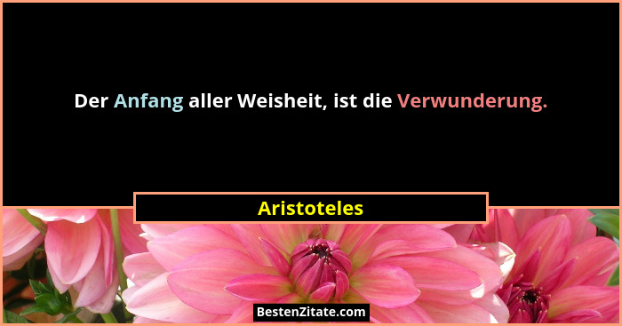 Der Anfang aller Weisheit, ist die Verwunderung.... - Aristoteles