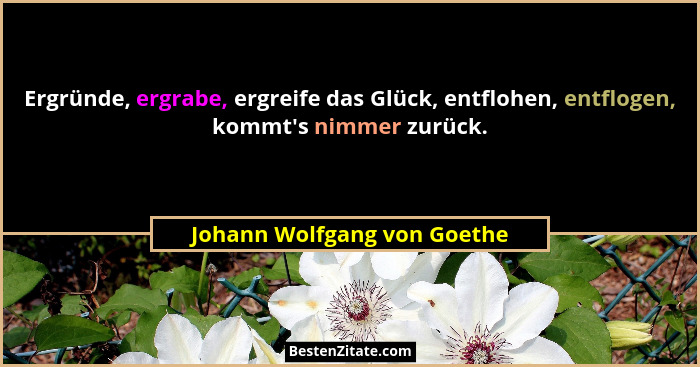 Ergründe, ergrabe, ergreife das Glück, entflohen, entflogen, kommt's nimmer zurück.... - Johann Wolfgang von Goethe