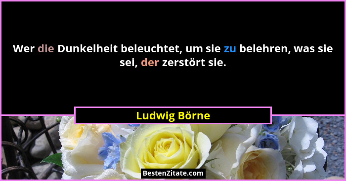Wer die Dunkelheit beleuchtet, um sie zu belehren, was sie sei, der zerstört sie.... - Ludwig Börne