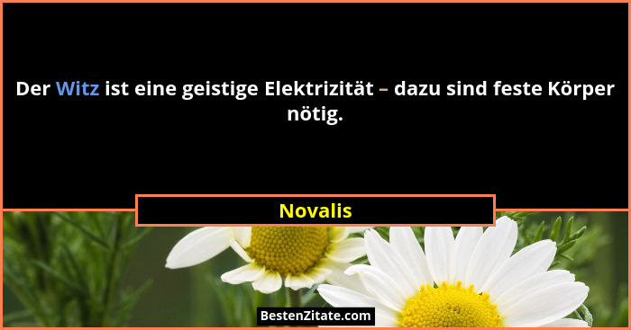 Der Witz ist eine geistige Elektrizität – dazu sind feste Körper nötig.... - Novalis