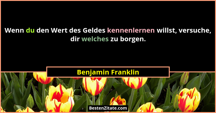 Wenn du den Wert des Geldes kennenlernen willst, versuche, dir welches zu borgen.... - Benjamin Franklin