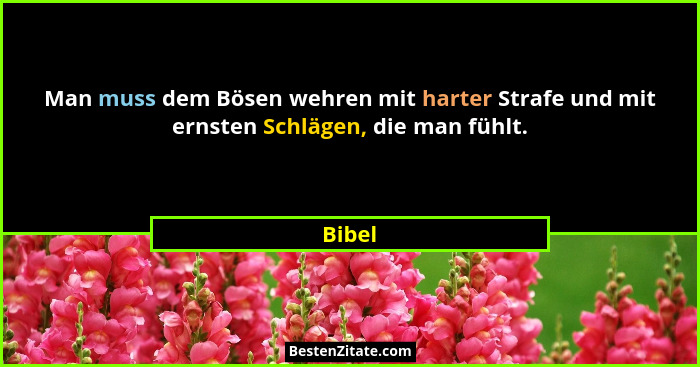 Man muss dem Bösen wehren mit harter Strafe und mit ernsten Schlägen, die man fühlt.... - Bibel