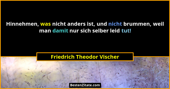 Hinnehmen, was nicht anders ist, und nicht brummen, weil man damit nur sich selber leid tut!... - Friedrich Theodor Vischer