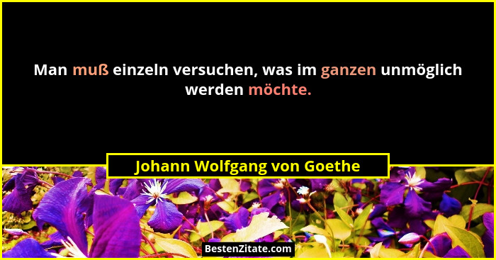 Man muß einzeln versuchen, was im ganzen unmöglich werden möchte.... - Johann Wolfgang von Goethe