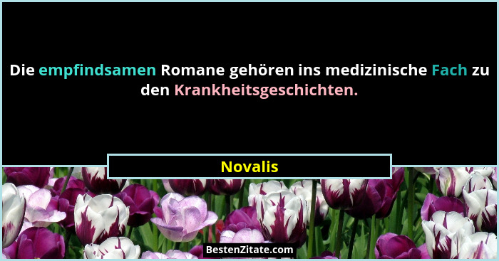 Die empfindsamen Romane gehören ins medizinische Fach zu den Krankheitsgeschichten.... - Novalis