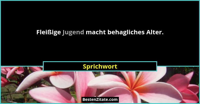 Fleißige Jugend macht behagliches Alter.... - Sprichwort