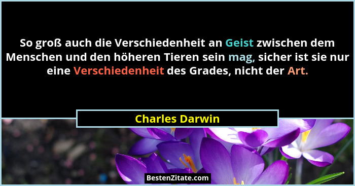 So groß auch die Verschiedenheit an Geist zwischen dem Menschen und den höheren Tieren sein mag, sicher ist sie nur eine Verschiedenh... - Charles Darwin