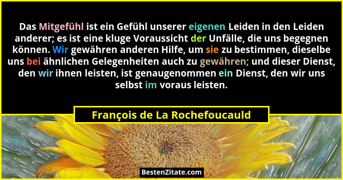 Das Mitgefühl ist ein Gefühl unserer eigenen Leiden in den Leiden anderer; es ist eine kluge Voraussicht der Unfälle, d... - François de La Rochefoucauld