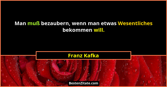 Man muß bezaubern, wenn man etwas Wesentliches bekommen will.... - Franz Kafka