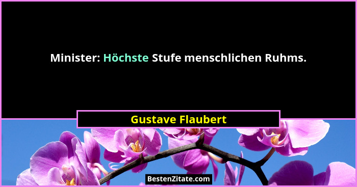 Minister: Höchste Stufe menschlichen Ruhms.... - Gustave Flaubert