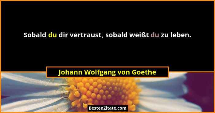 Sobald du dir vertraust, sobald weißt du zu leben.... - Johann Wolfgang von Goethe