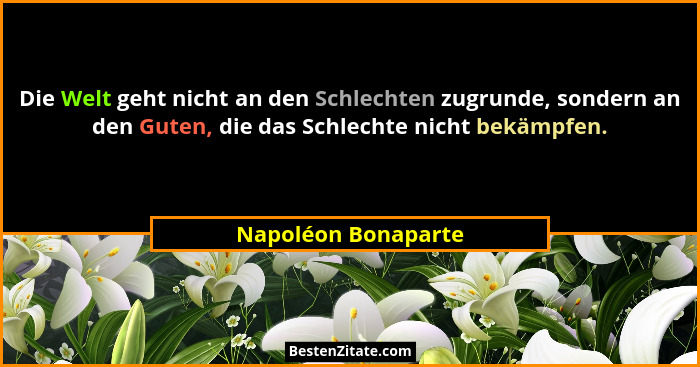 Die Welt geht nicht an den Schlechten zugrunde, sondern an den Guten, die das Schlechte nicht bekämpfen.... - Napoléon Bonaparte
