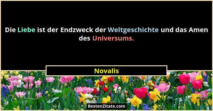 Die Liebe ist der Endzweck der Weltgeschichte und das Amen des Universums.... - Novalis