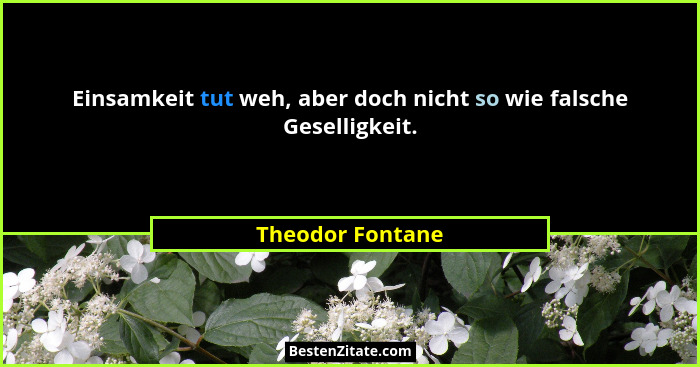 Einsamkeit tut weh, aber doch nicht so wie falsche Geselligkeit.... - Theodor Fontane