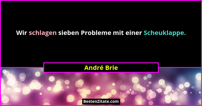 Wir schlagen sieben Probleme mit einer Scheuklappe.... - André Brie