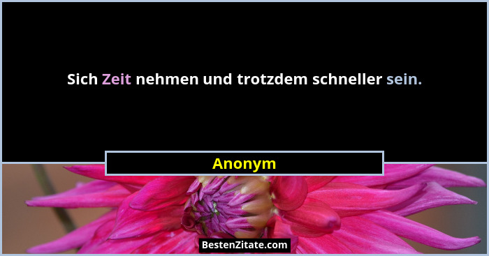 Sich Zeit nehmen und trotzdem schneller sein.... - Anonym