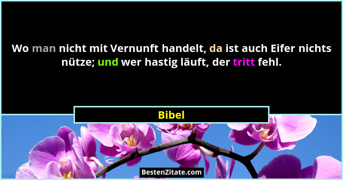 Wo man nicht mit Vernunft handelt, da ist auch Eifer nichts nütze; und wer hastig läuft, der tritt fehl.... - Bibel