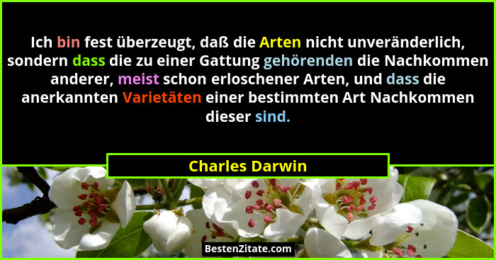 Ich bin fest überzeugt, daß die Arten nicht unveränderlich, sondern dass die zu einer Gattung gehörenden die Nachkommen anderer, meis... - Charles Darwin