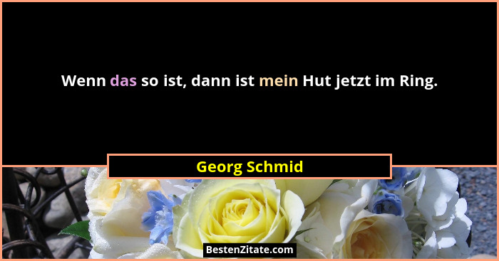 Wenn das so ist, dann ist mein Hut jetzt im Ring.... - Georg Schmid
