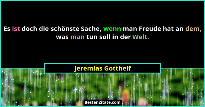Es ist doch die schönste Sache, wenn man Freude hat an dem, was man tun soll in der Welt.... - Jeremias Gotthelf