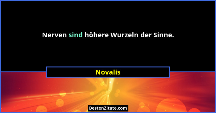 Nerven sind höhere Wurzeln der Sinne.... - Novalis