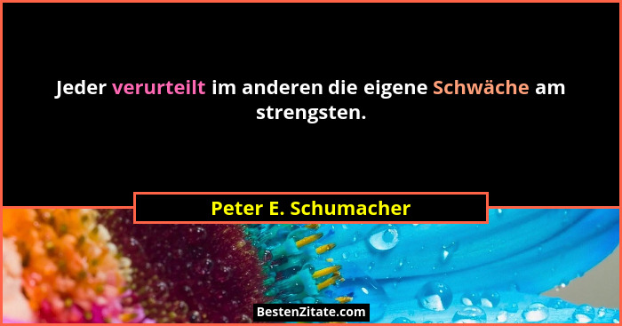 Jeder verurteilt im anderen die eigene Schwäche am strengsten.... - Peter E. Schumacher