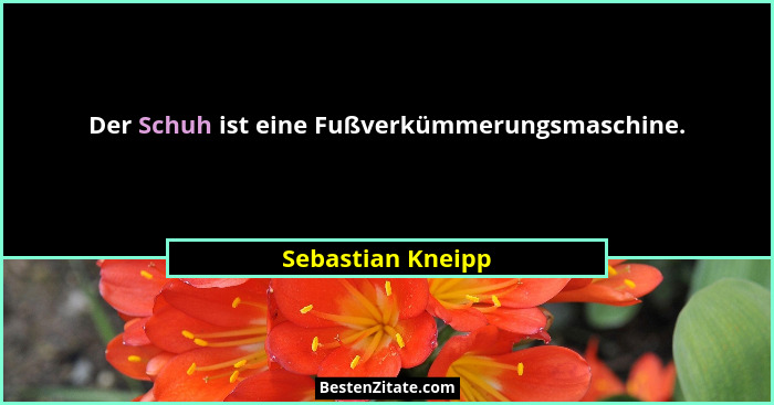 Der Schuh ist eine Fußverkümmerungsmaschine.... - Sebastian Kneipp