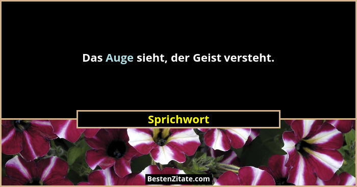 Das Auge sieht, der Geist versteht.... - Sprichwort