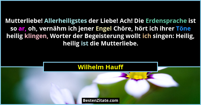 Mutterliebe! Allerheiligstes der Liebe! Ach! Die Erdensprache ist so ar, oh, vernähm ich jener Engel Chöre, hört ich ihrer Töne heilig... - Wilhelm Hauff