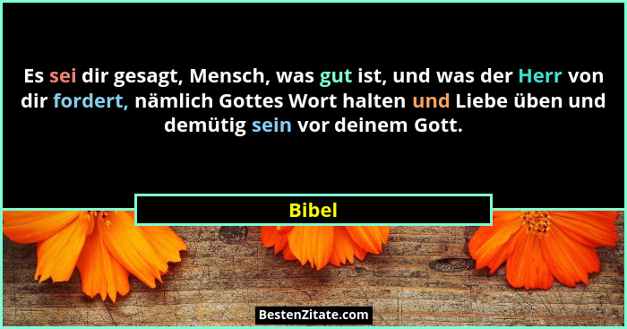 Es sei dir gesagt, Mensch, was gut ist, und was der Herr von dir fordert, nämlich Gottes Wort halten und Liebe üben und demütig sein vor deine... - Bibel