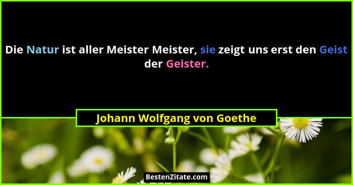 Die Natur ist aller Meister Meister, sie zeigt uns erst den Geist der Geister.... - Johann Wolfgang von Goethe