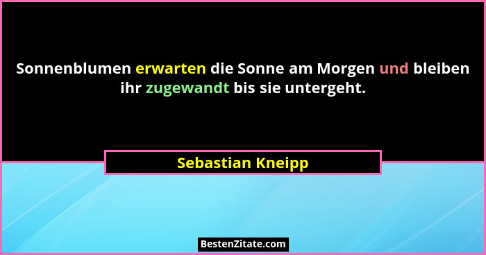 Sonnenblumen erwarten die Sonne am Morgen und bleiben ihr zugewandt bis sie untergeht.... - Sebastian Kneipp