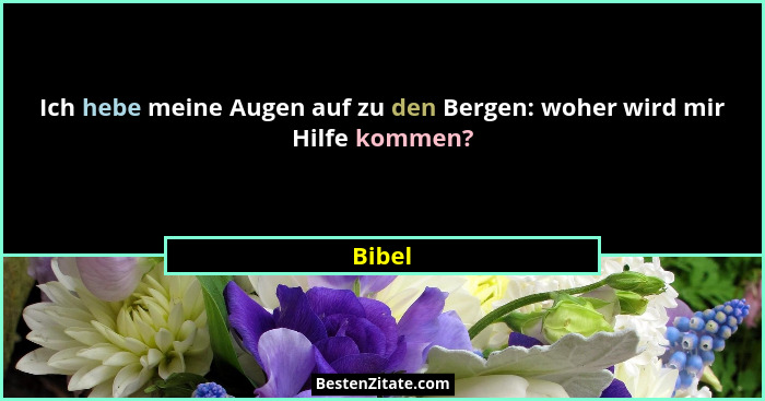 Ich hebe meine Augen auf zu den Bergen: woher wird mir Hilfe kommen?... - Bibel