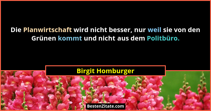 Die Planwirtschaft wird nicht besser, nur weil sie von den Grünen kommt und nicht aus dem Politbüro.... - Birgit Homburger