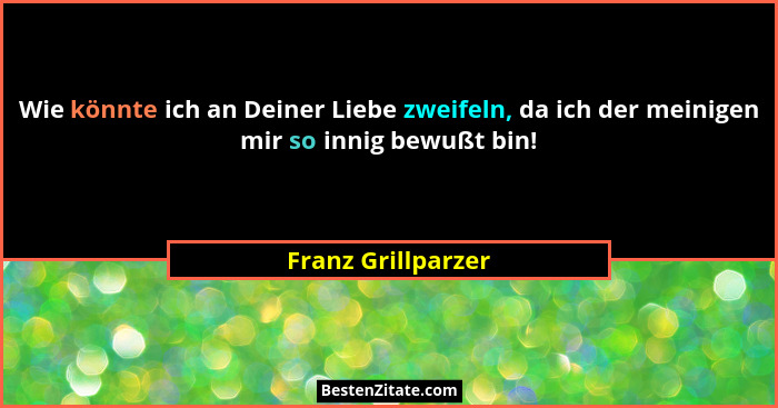 Wie könnte ich an Deiner Liebe zweifeln, da ich der meinigen mir so innig bewußt bin!... - Franz Grillparzer